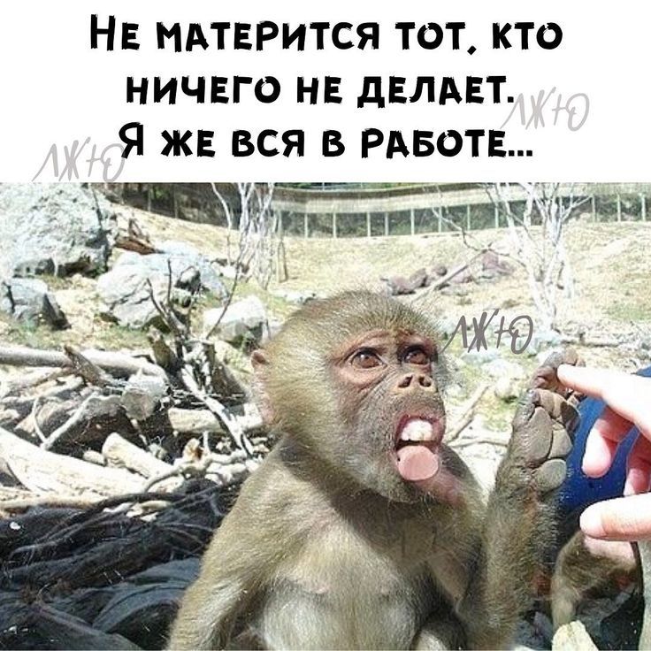 Короткое Вечернее Платье Джинсы