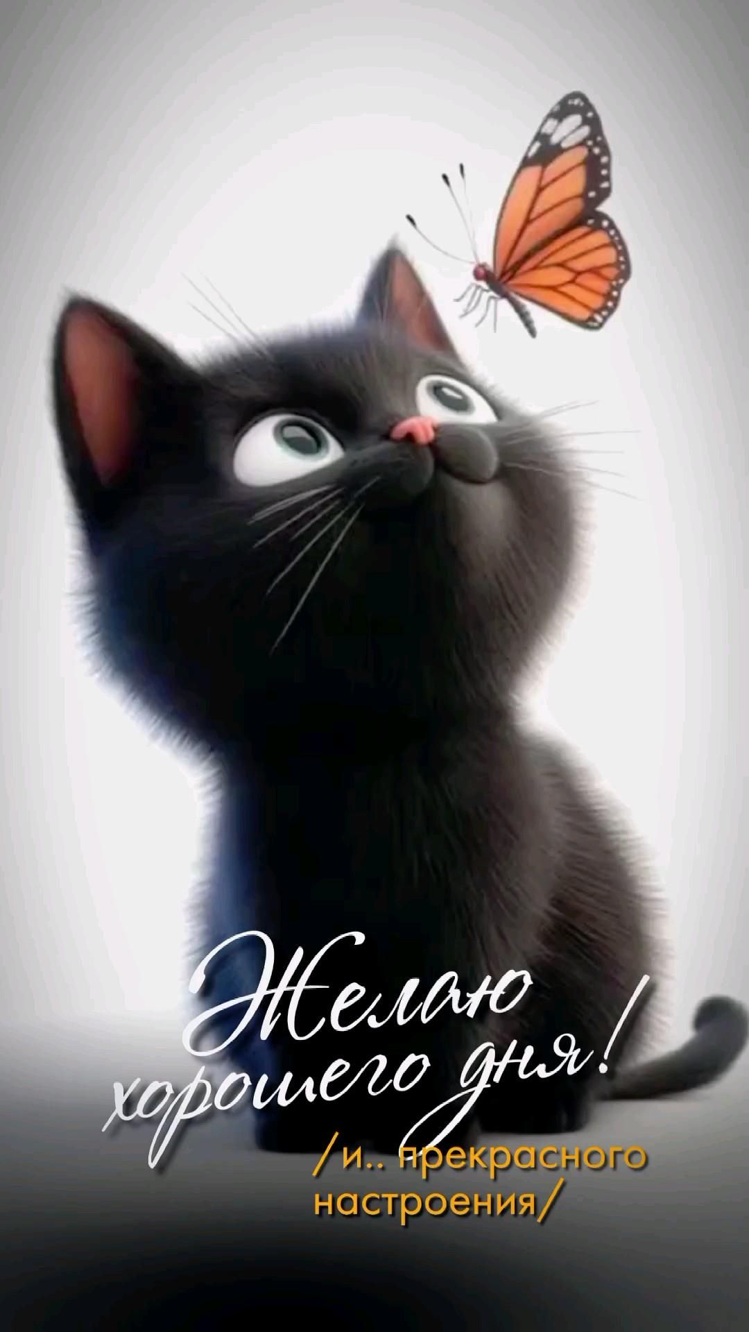 хорошего дня