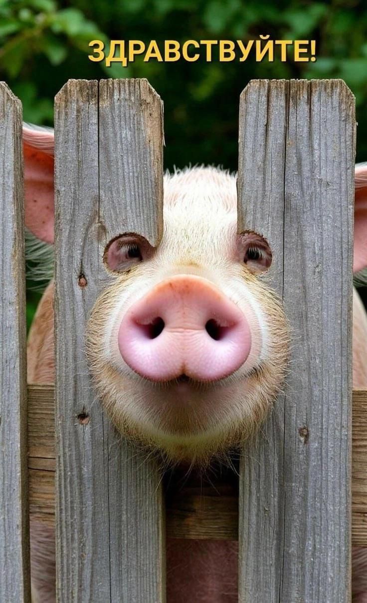 доброе утро