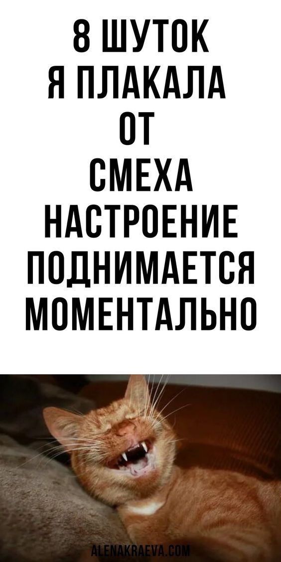 картинки смешные337