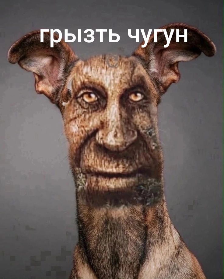 мяу мяу гав гав