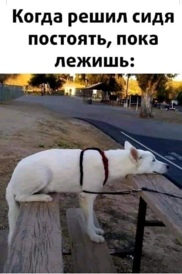 Песик