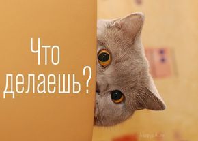 Картинки с надписью Что делаешь – скачать