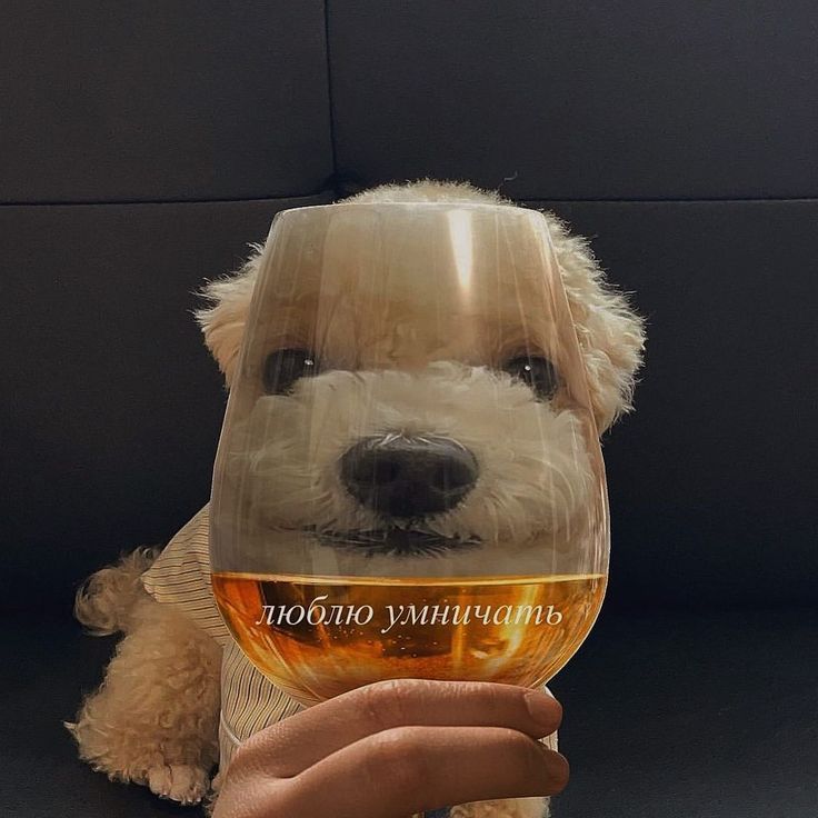 Легкость цитаты личная мотивация