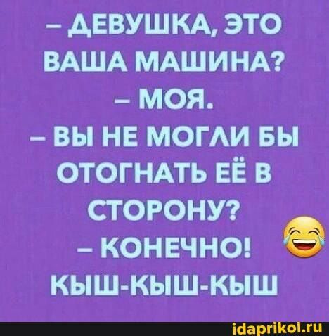 – ДЕВУШКА, ЭТО ВАША МАШИНА? _ МОЯ. – ВЫ НЕ МОГЛИ БЫ ОТОГНАТЬ ЕЁ В СТОРОНУ? КОНЕЧНО! КЫШ-КЫШ-КЫШ – АйДаПрикол