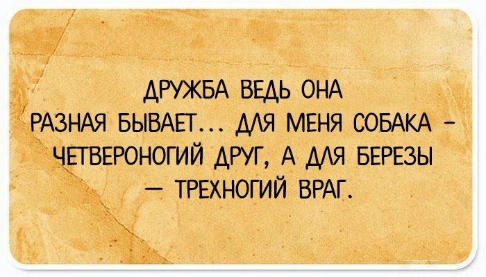24 юмористических открытки о женщинах, мужчинах и их отношениях