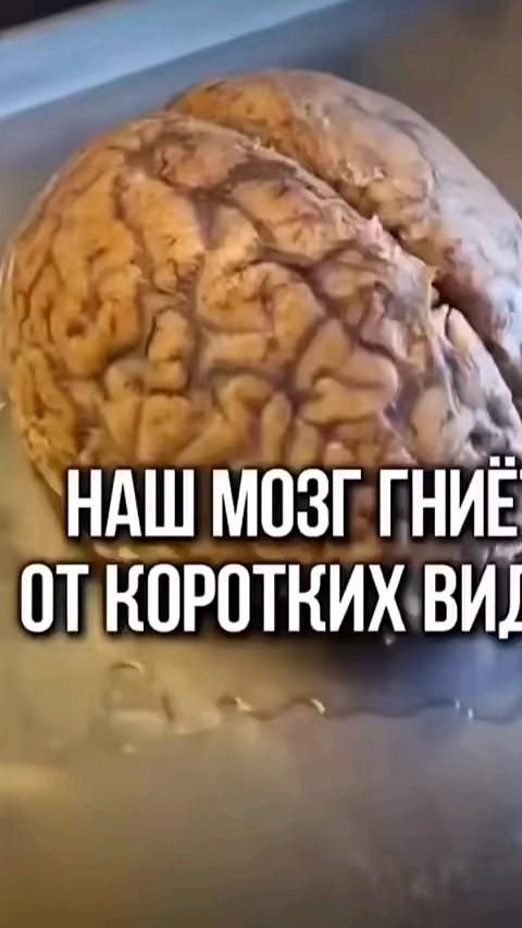 омг реально??????? 😱😱😱😱😭😭😭