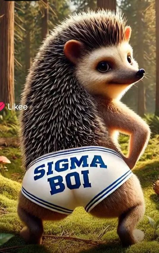 siiiigmaaaa boooooooy