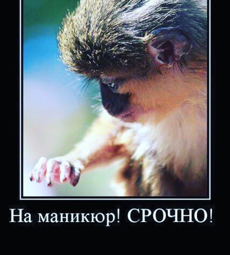 Прикольные картинки ко дню мастера маникюра 24 марта