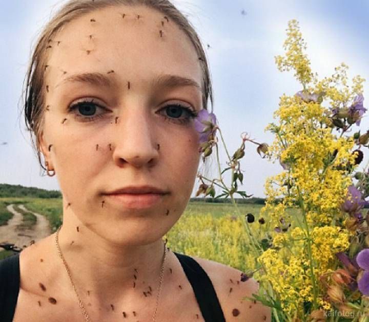 Домен припаркован в Timeweb