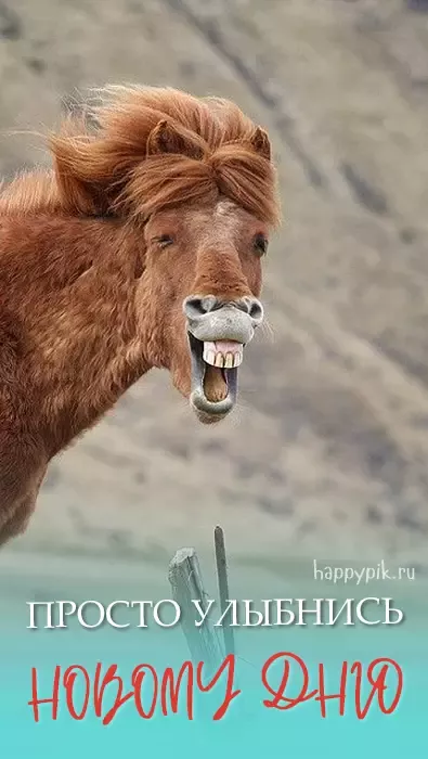 Картинки с надписями \