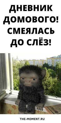 женский юмор 902