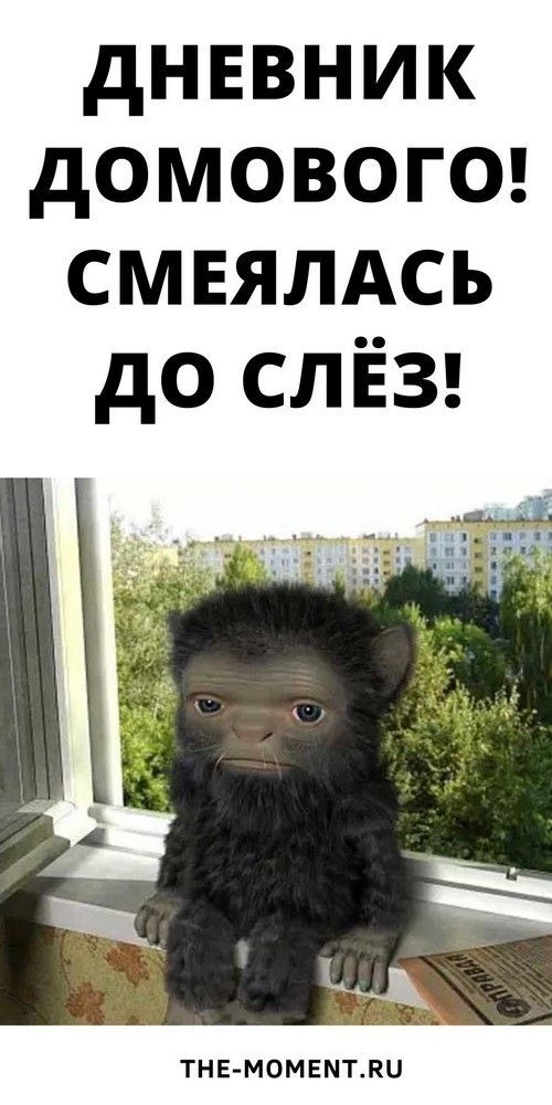 юмор очень смешно 350