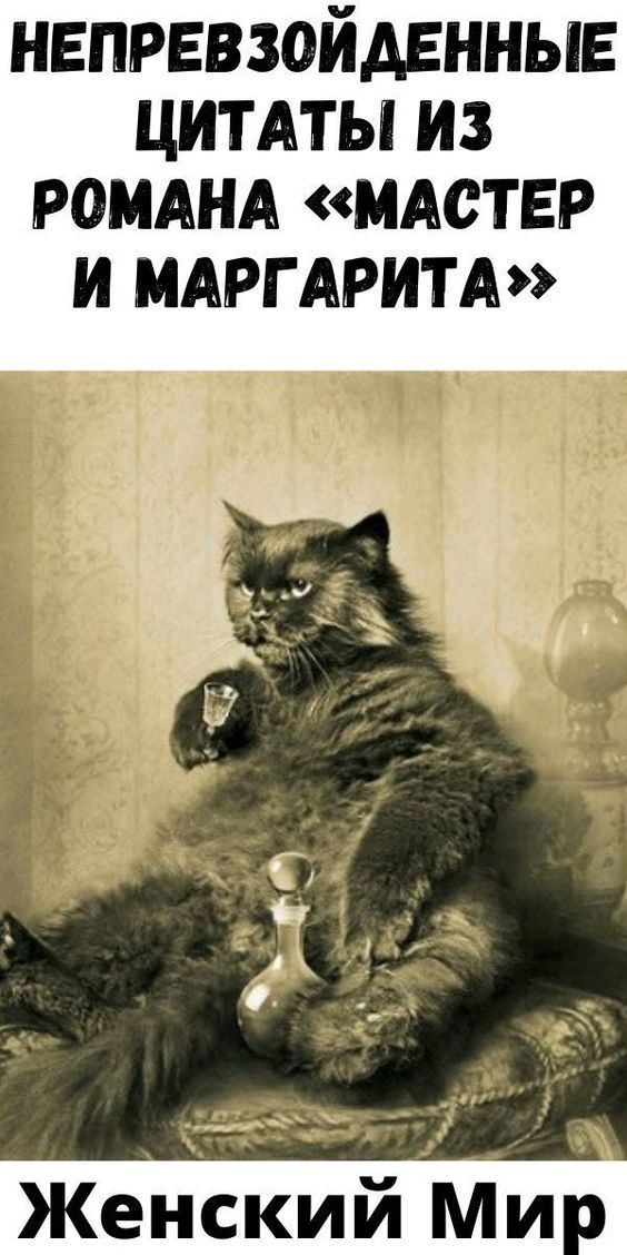 юмор очень смешно 382