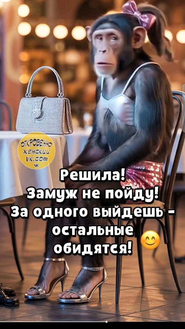 Открытки на каждый день юмор, прикольно