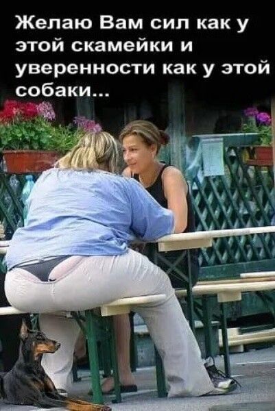 картинки смешные686