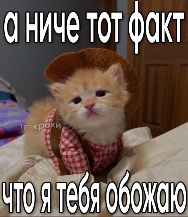 А НИЧО ТОТ ФАКТ