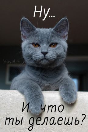 Картинки с надписью Что делаешь – скачать
