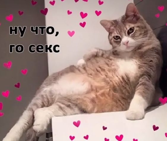 женский юмор 721