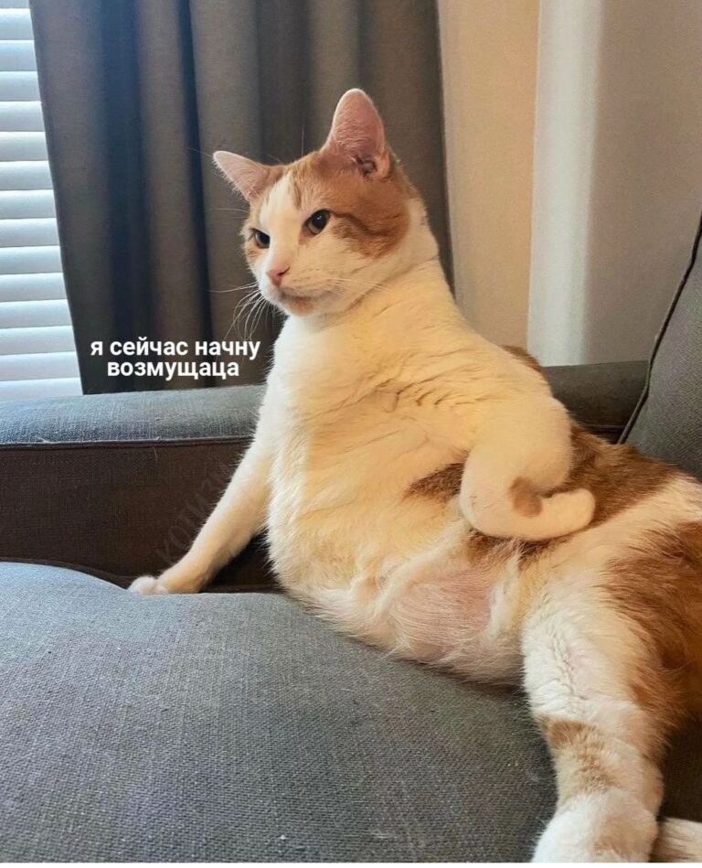 щас буду возмущацо