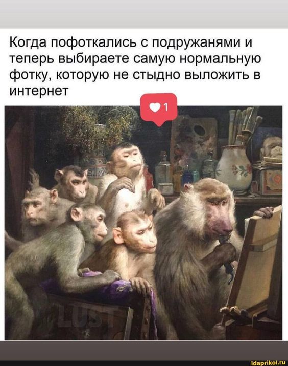 АйДаПрикол – лучшие мемы, видео, гифки и смешные картинки в одном месте