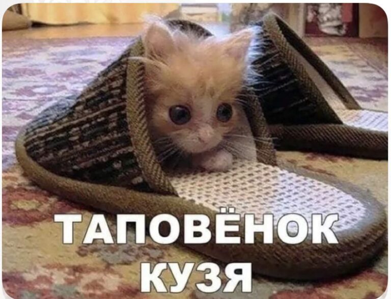 Таповенок Кузя