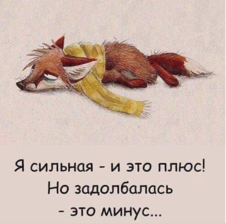 97 смешных картинок с надписями для поднятия настроения