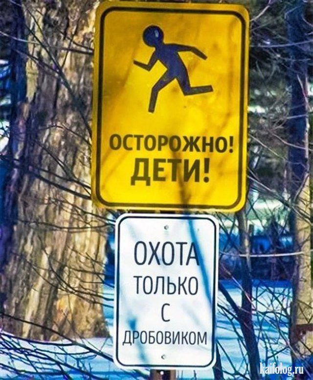 Маразмы и приколы из России (50 штук)