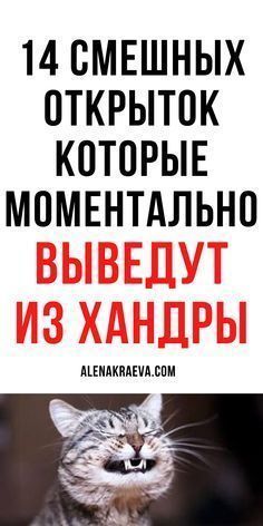 Присоединяйся к нам для смеха и веселья: лучшие моменты здесь!