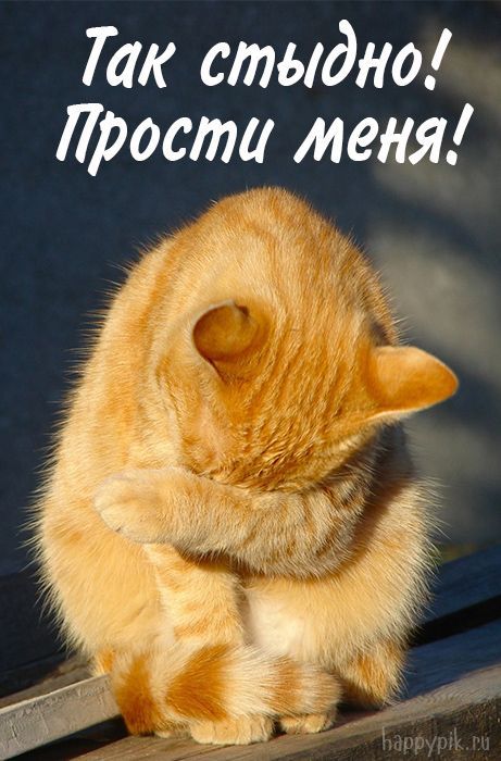Картинки с надписью Прости – Извини меня – скачать