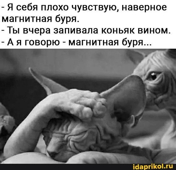 – Я себя плохо чувствую, наверное магнитная буря. – Ты вчера запивала коньяк вином. – Ая говорю -…