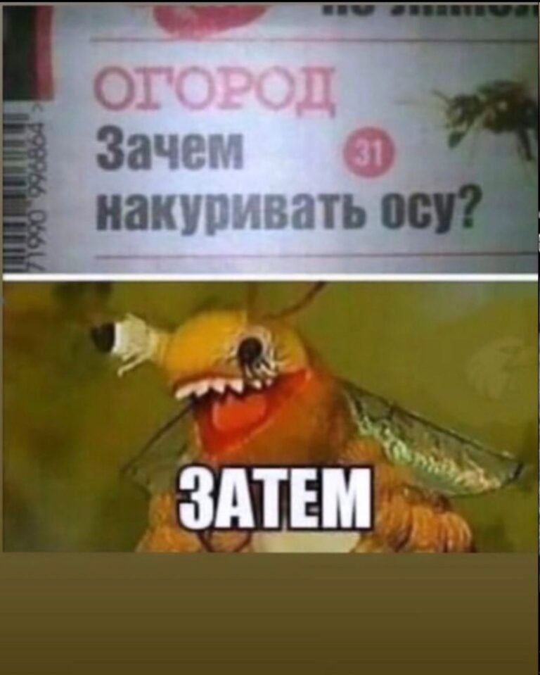 Мемы про осу