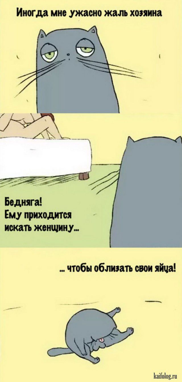 Веселые картинки (59 картинок)