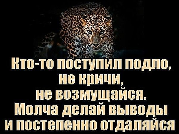 Великие Слова — Разное | OK.RU