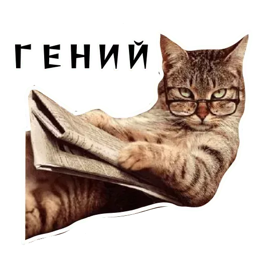 Набор стикеров для Telegram «Колкие фразы»