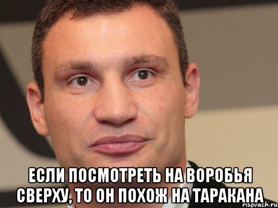 Виталий Кличко, самые лучшие фразы. Для поднятия настроения!