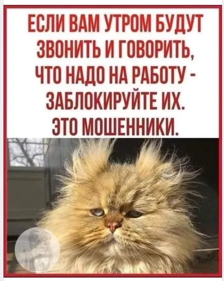 Когда на пенсии 😄