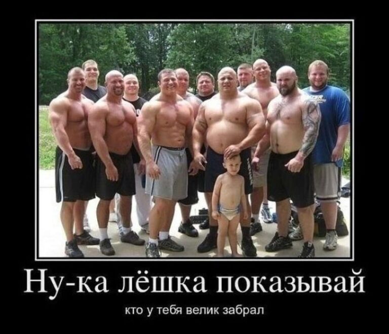 Смешные картинки до слез бесплатно (35 фото) 🔥 BipBap.ru