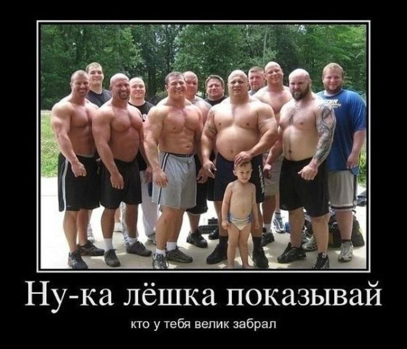 Смешные картинки до слез бесплатно (35 фото) 🔥 BipBap.ru