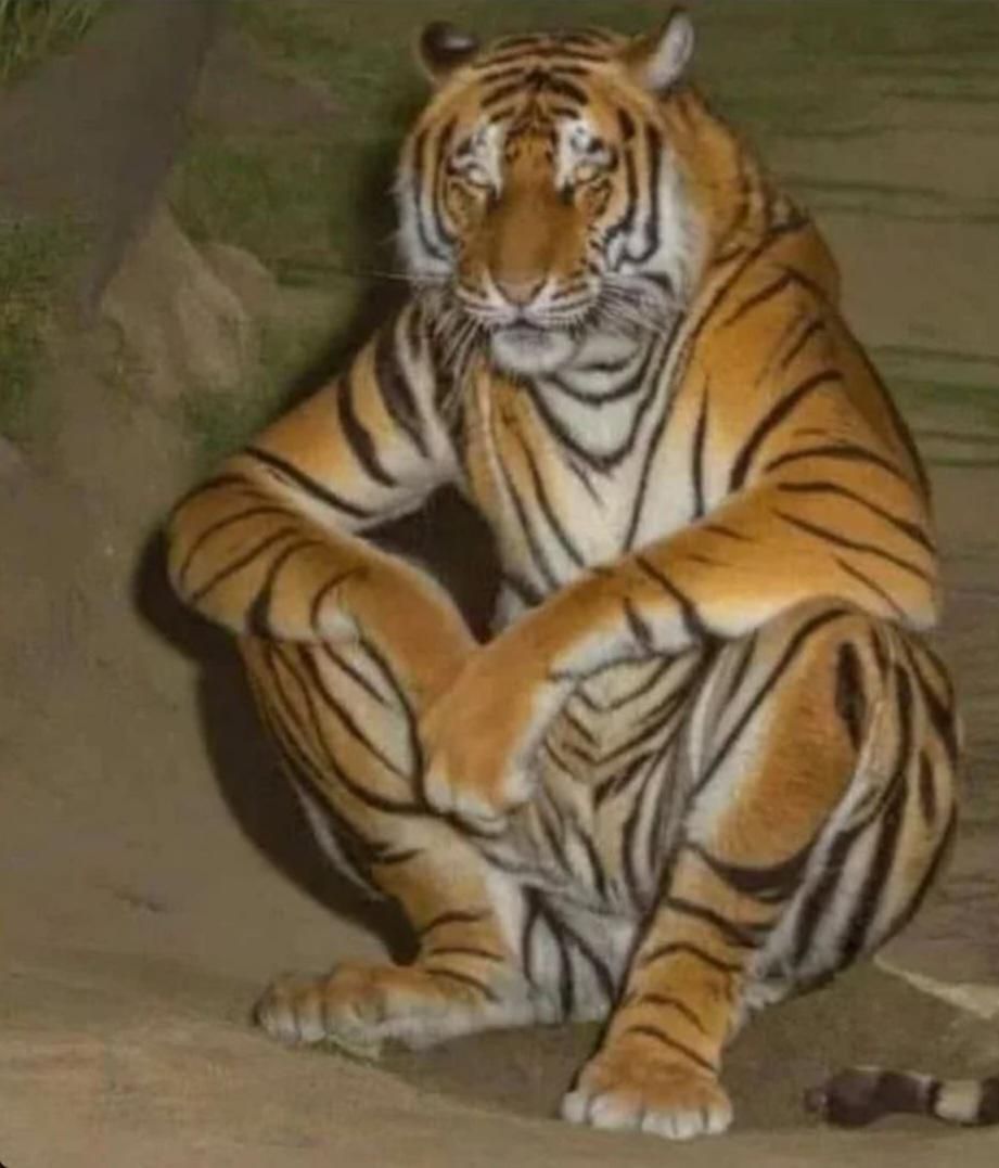 Post by @picsthatmakeyougohmm · 1 image