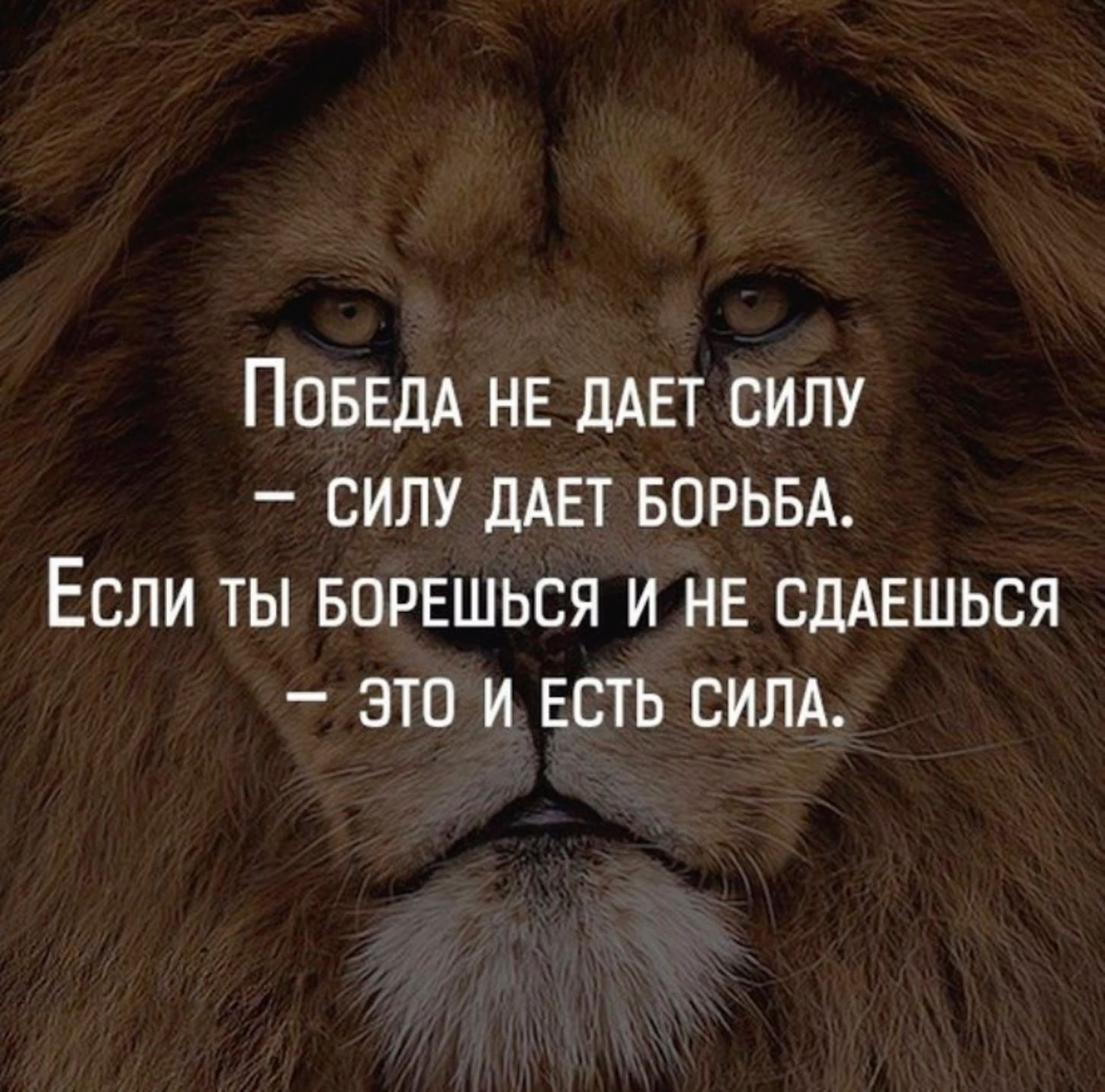 Понравился пин? Добавляй его к себе☺️