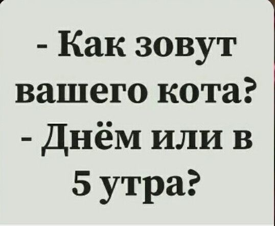 #Тупые цитатки