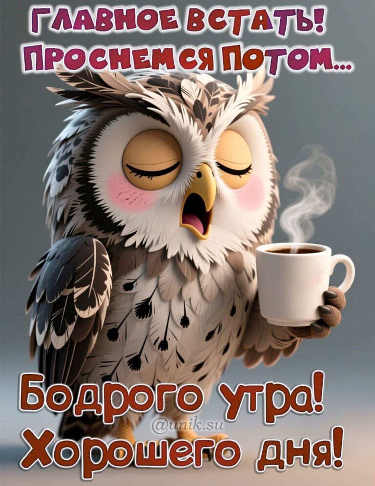 Картинки с добрым утром хорошего дня