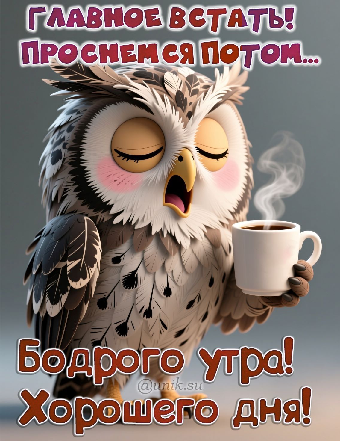 Картинки с добрым утром хорошего дня