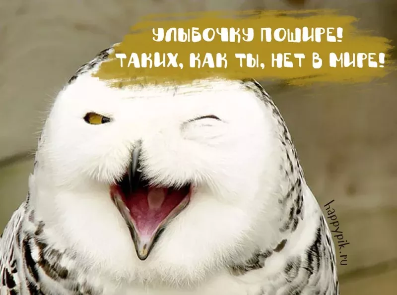 Картинки с надписью Улыбнись – скачать бесплатно