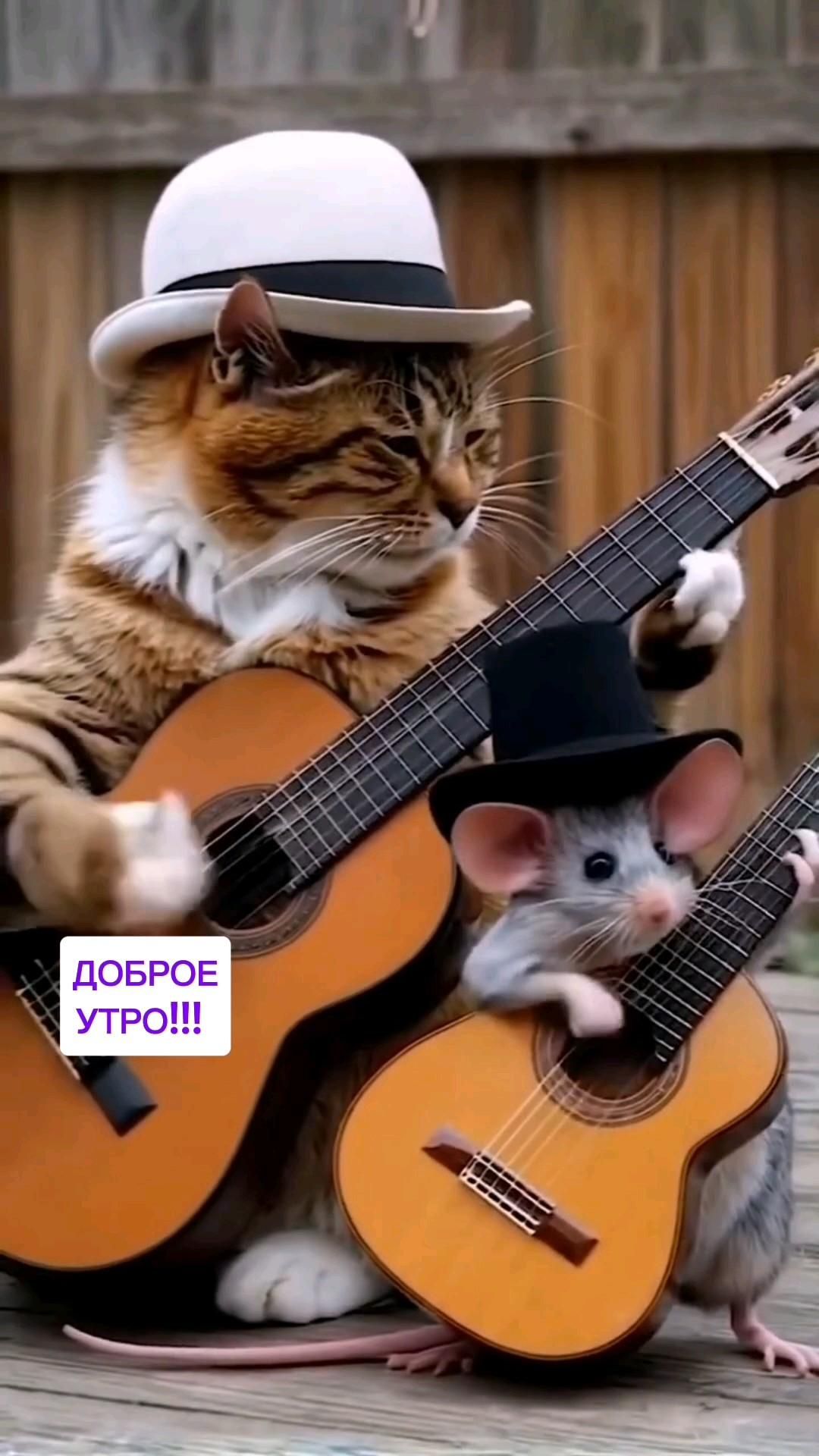 Доброе утро!!!