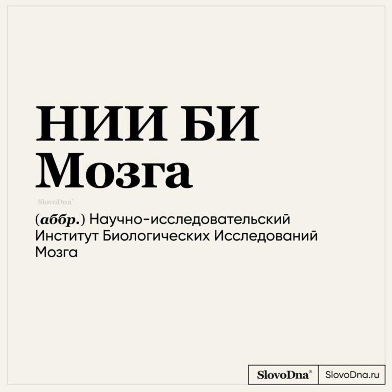 сентябрь 2025 бл лн