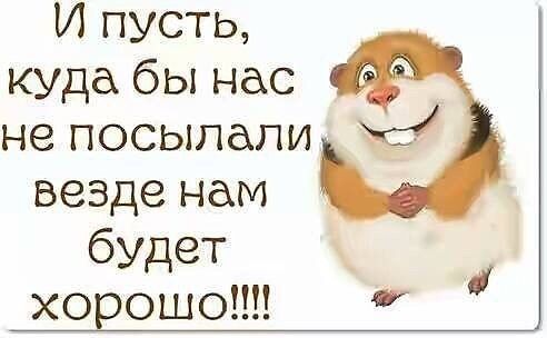 Джинсы Момы Женские Платья Для Женщин