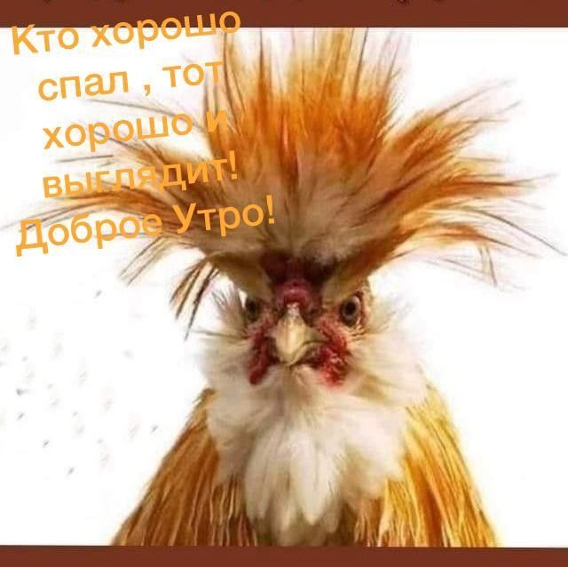 Социальная сеть Одноклассники. Общение с друзьями в ОК. Ваше место встречи с одноклассниками.