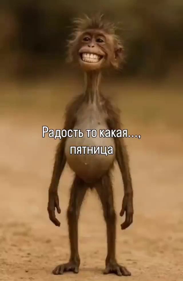 Радость то какая… пятница – АйДаПрикол